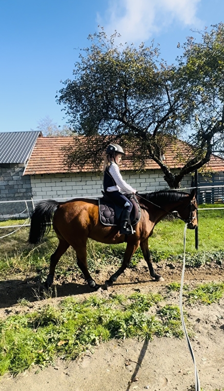 Stajnia Power Horses - zdjęcie 4