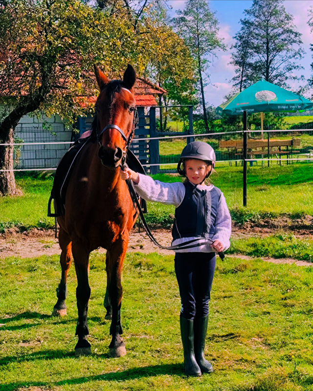 Stajnia Power Horses - zdjęcie 5
