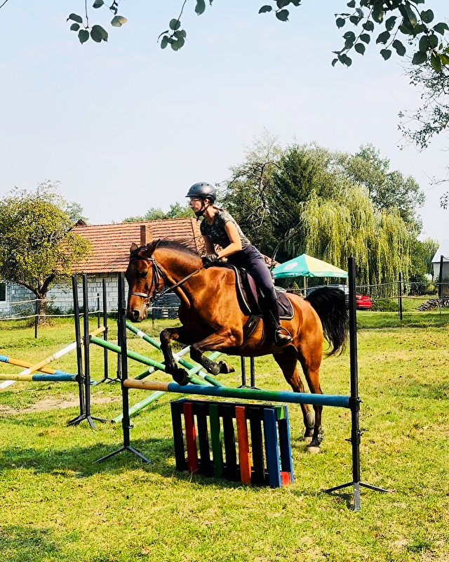 Stajnia Power Horses - zdjęcie 8