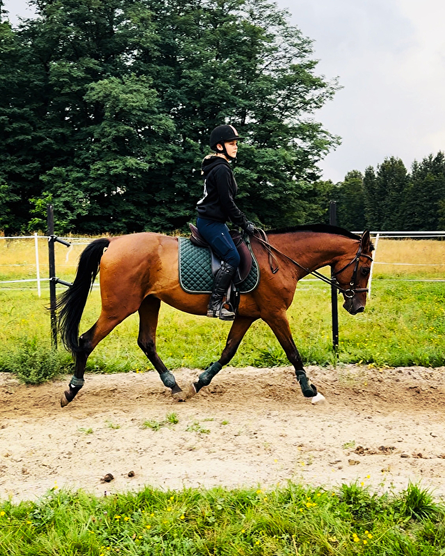 Stajnia Power Horses - zdjęcie 9