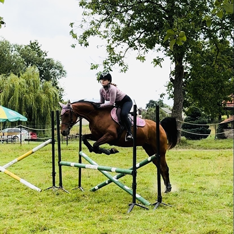 Stajnia Power Horses - zdjęcie 10