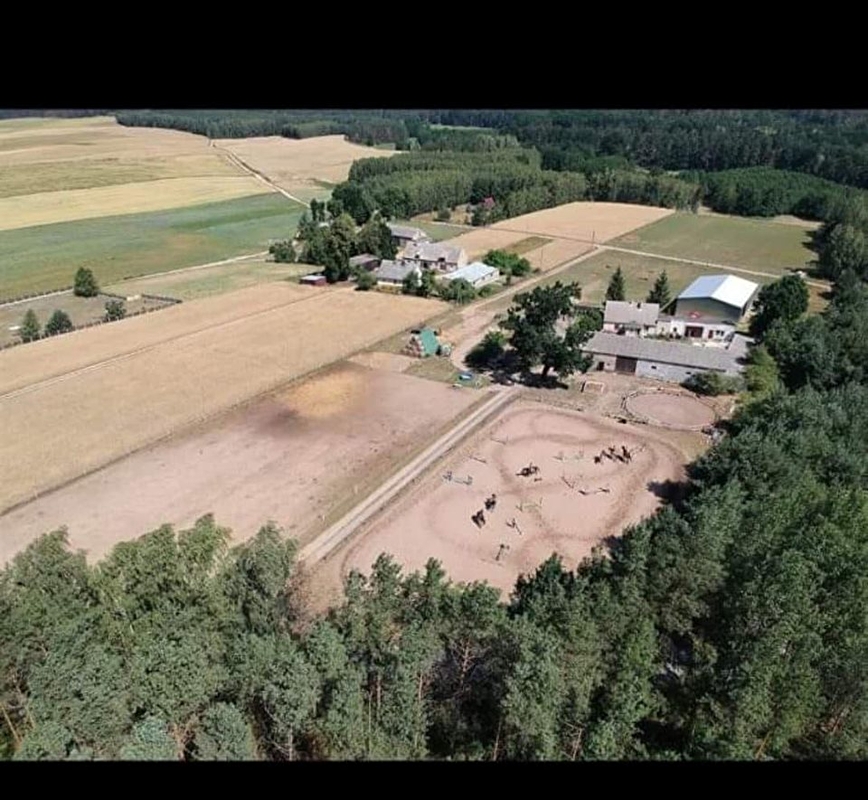 Gospo Agro "Stajnia Dąb" - zdjęcie 1