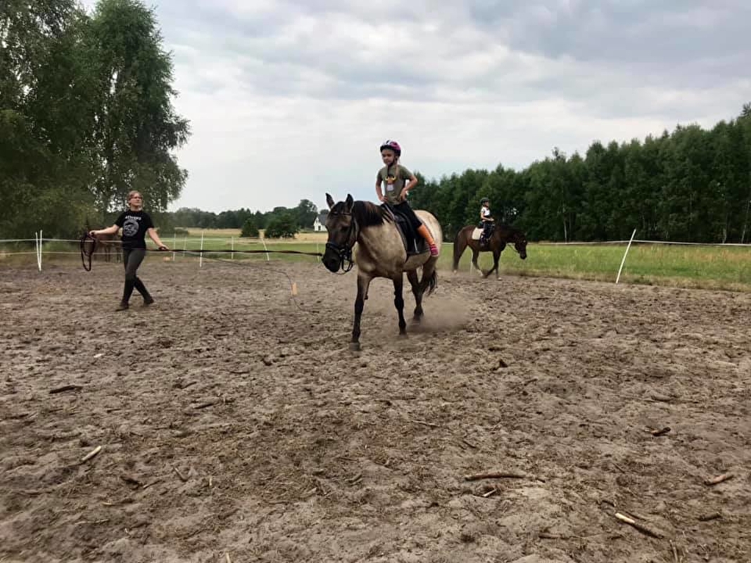 Stajnia Stasiówka - zdjęcie 11