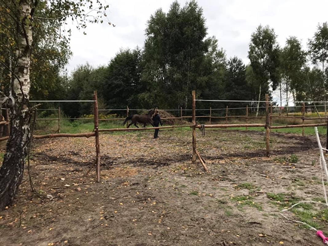 Stajnia Stasiówka - zdjęcie 12