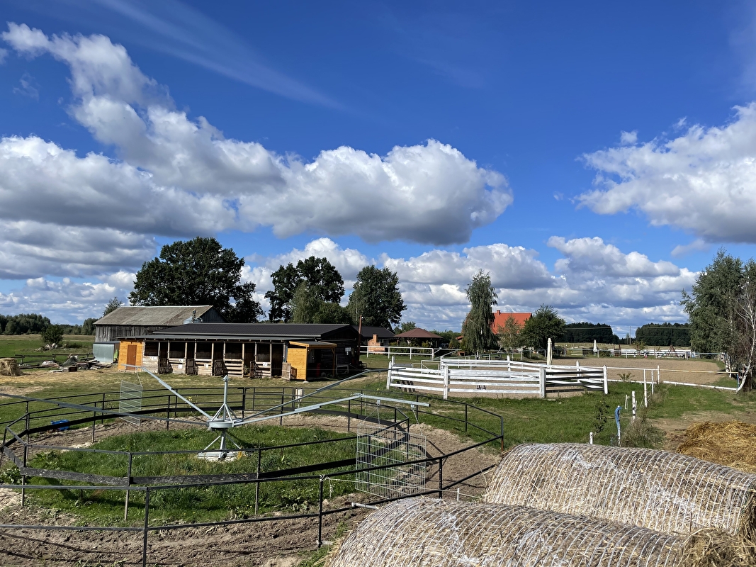 Stajnia Delicja - zdjęcie 9
