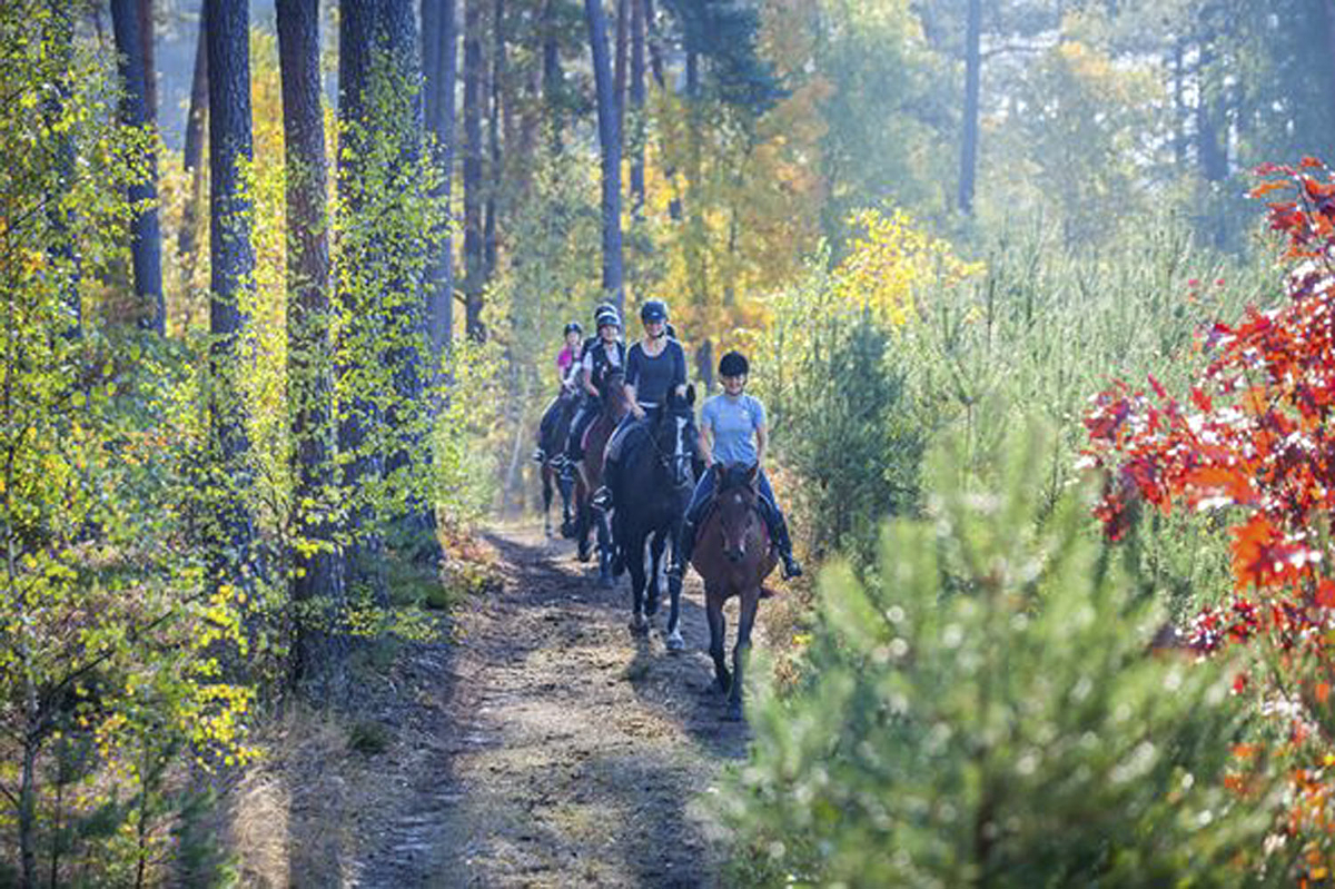 Stajnia Iskra Sztumskie Pole - zdjęcie 9