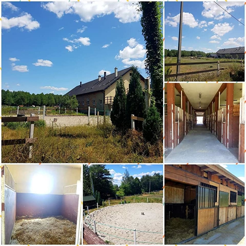 Stajnia Gniadego w Czernichowie - zdjęcie 1