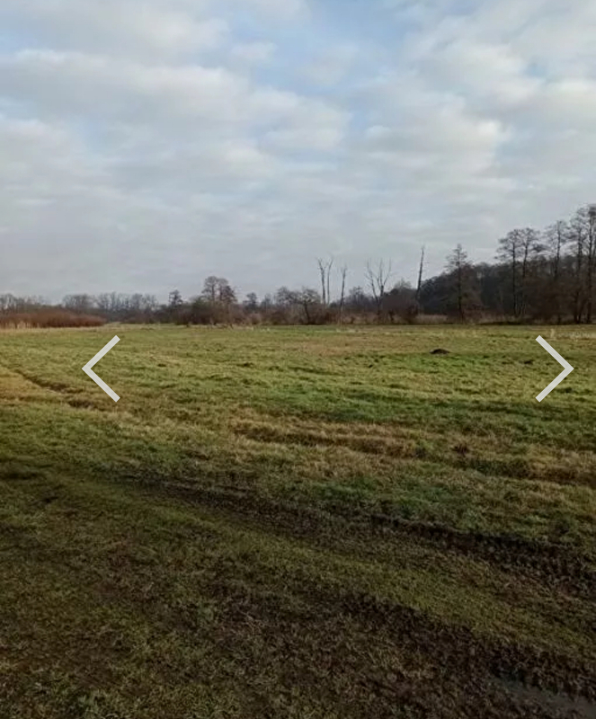 Stajnia Woltyniówka - zdjęcie 1