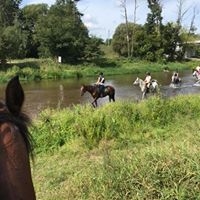 Stajnia Kaliska - zdjęcie 15