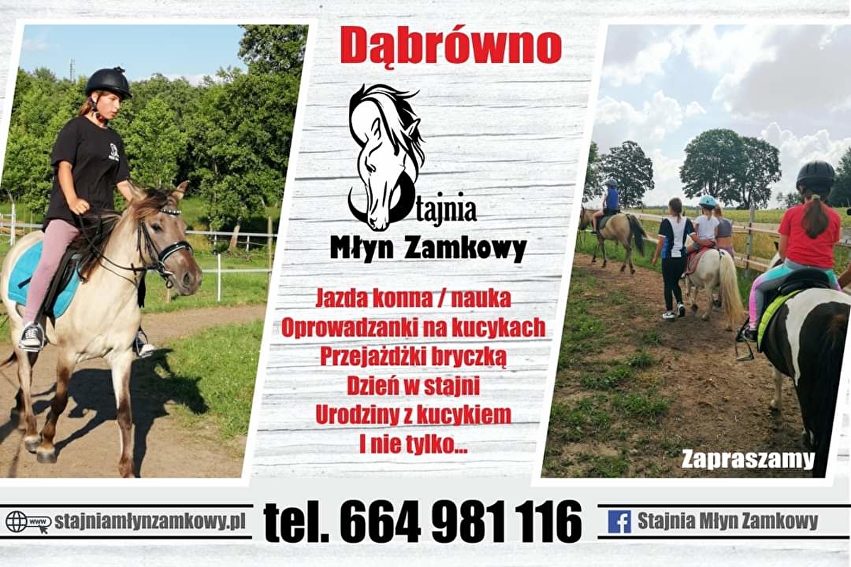 Stajnia Młyn Zamkowy - zdjęcie 2