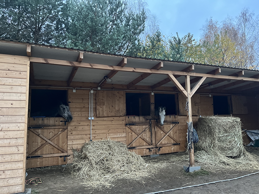KSB Sporthorses Stawinoga - zdjęcie 1