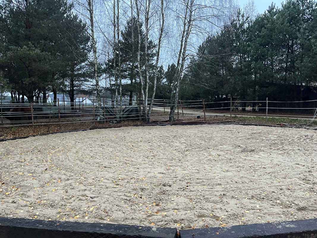 KSB Sporthorses Stawinoga - zdjęcie 4