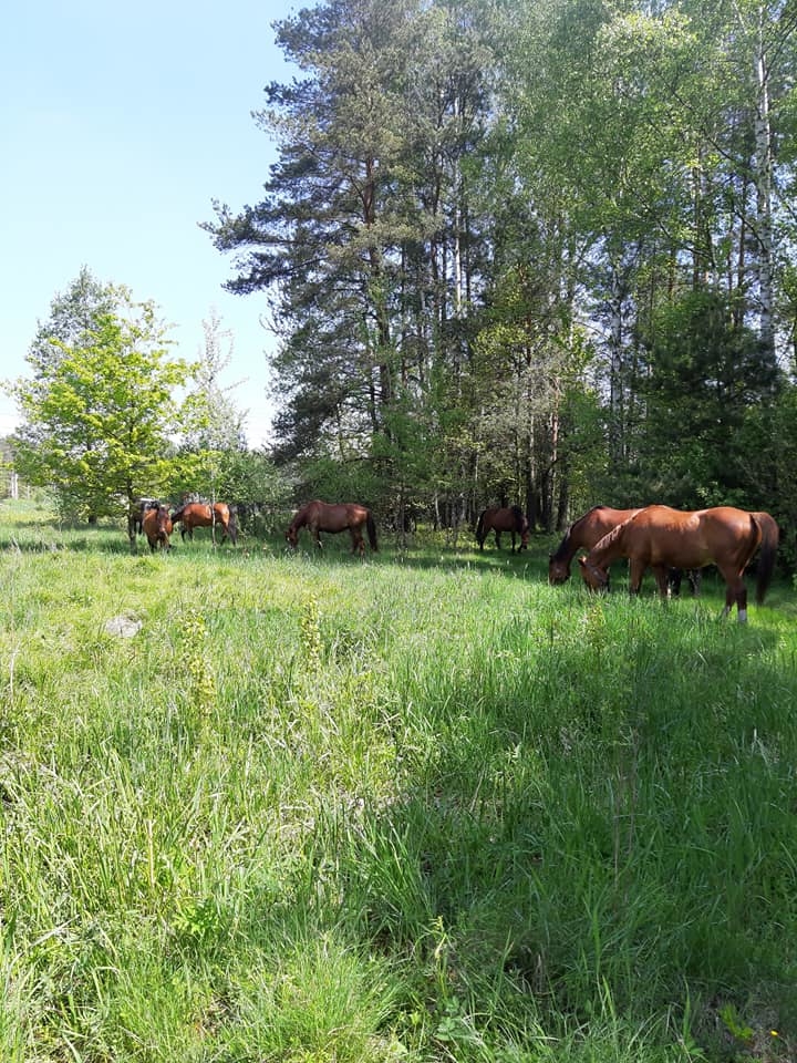 Rancho Broszka - zdjęcie 1