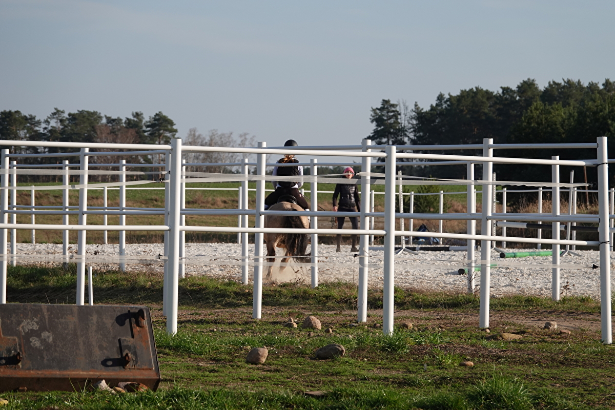 Stajnia Vigor Horses - zdjęcie 3