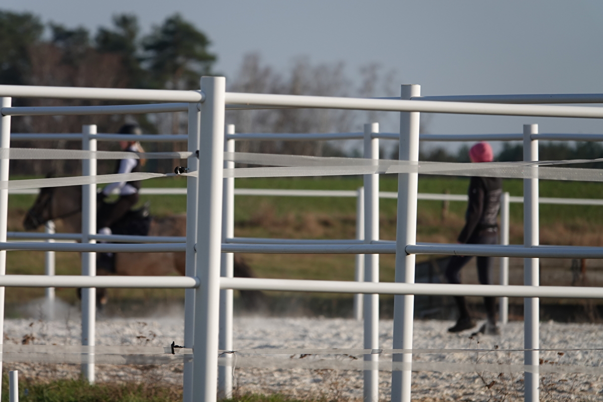 Stajnia Vigor Horses - zdjęcie 5