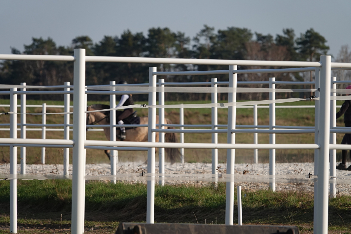 Stajnia Vigor Horses - zdjęcie 7
