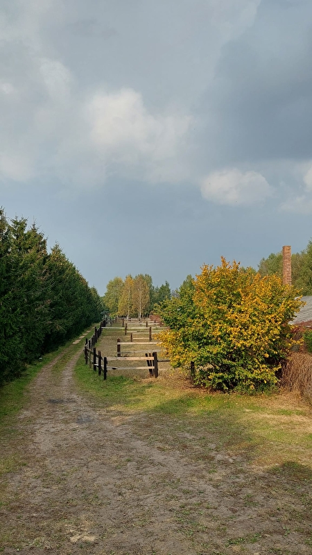 Stajnia Dobry Koń - zdjęcie 3