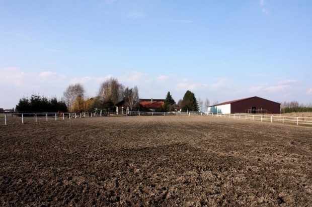 Stajnia Dobry Koń - zdjęcie 8