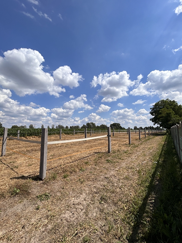 Stajnia RJ - zdjęcie 9