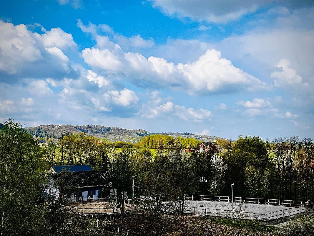 Stajnia Happy Valley - zdjęcie 1