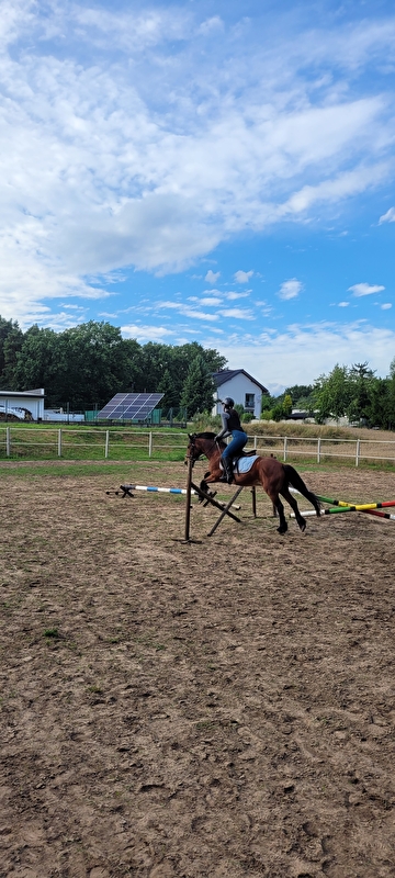 Stajnia nad rzeką - zdjęcie 5