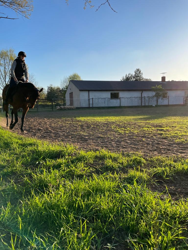 Stajnia nad rzeką - zdjęcie 6
