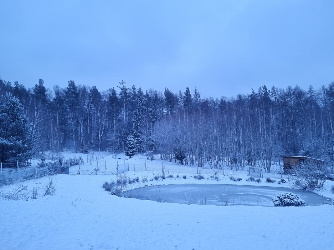 Nice Ranch - zdjęcie 6