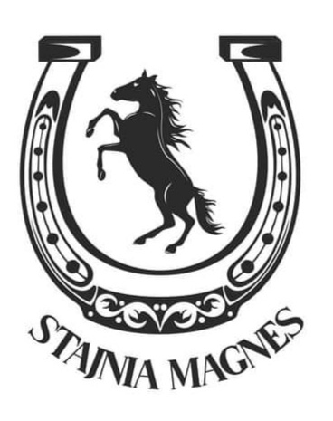 Stajnia Magnes - zdjęcie 1