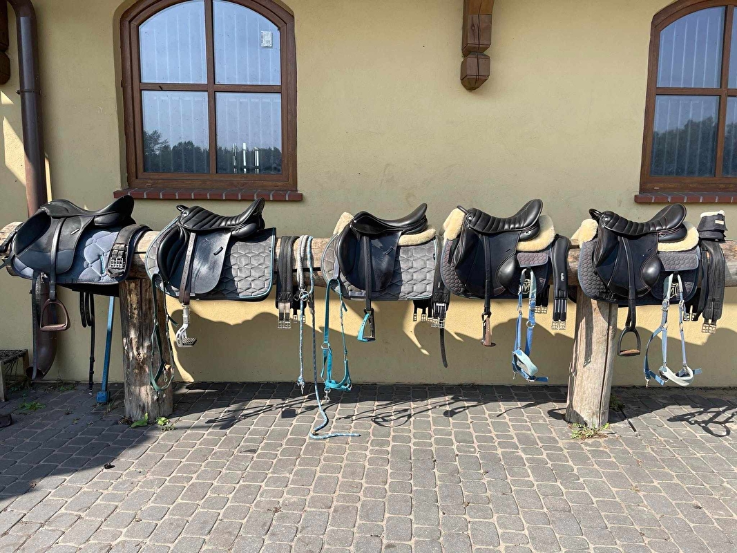 Stajnia Nowe Polichno - zdjęcie 10