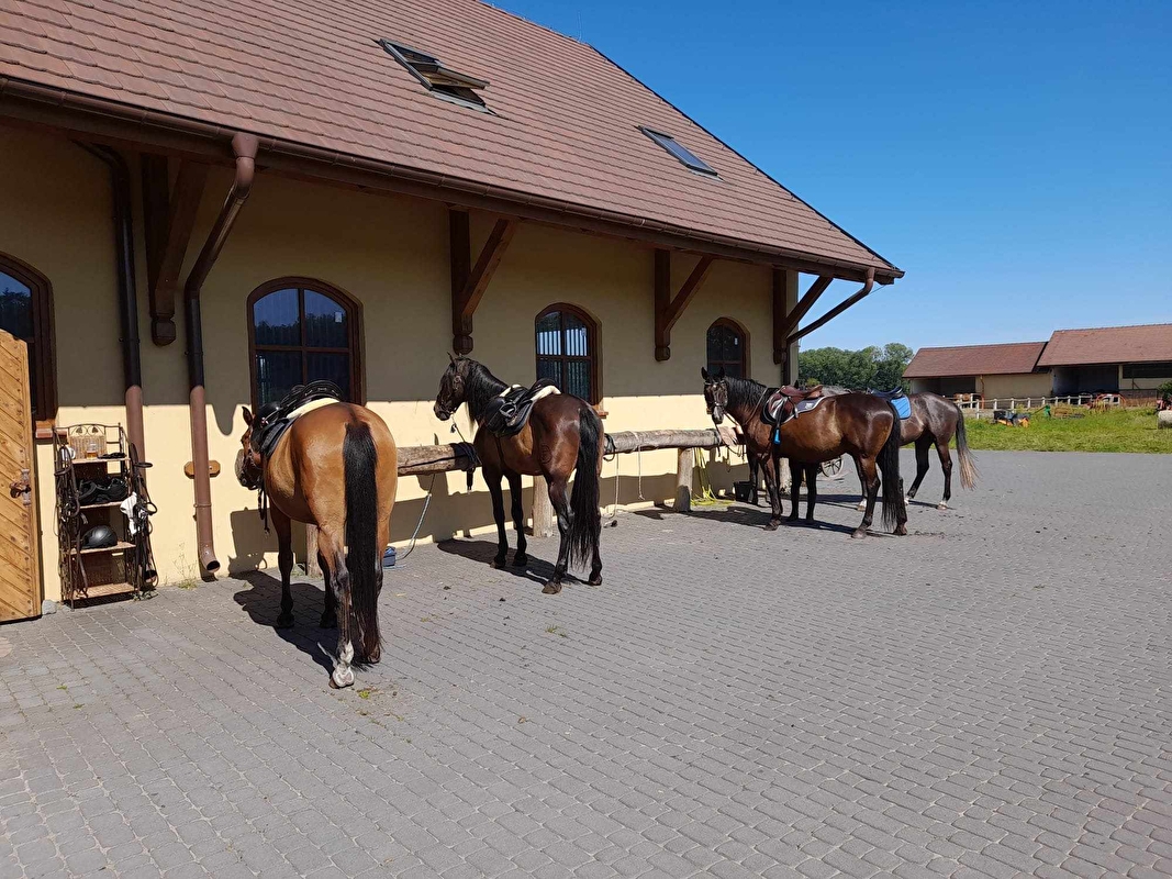 Stajnia Nowe Polichno - zdjęcie 11