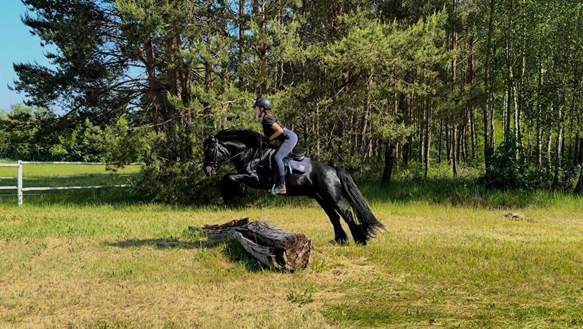 Stajnia Nowe Polichno - zdjęcie 14