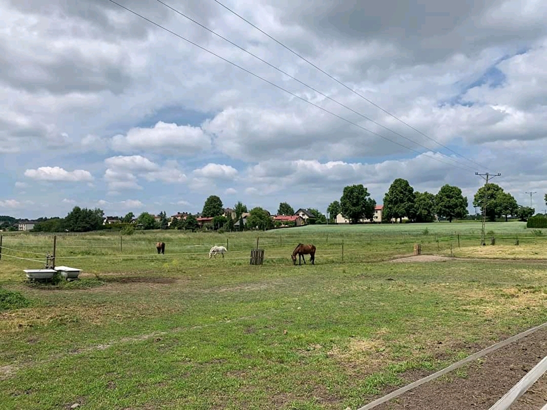 Przydomowa Stajnia Mysłowice - zdjęcie 2