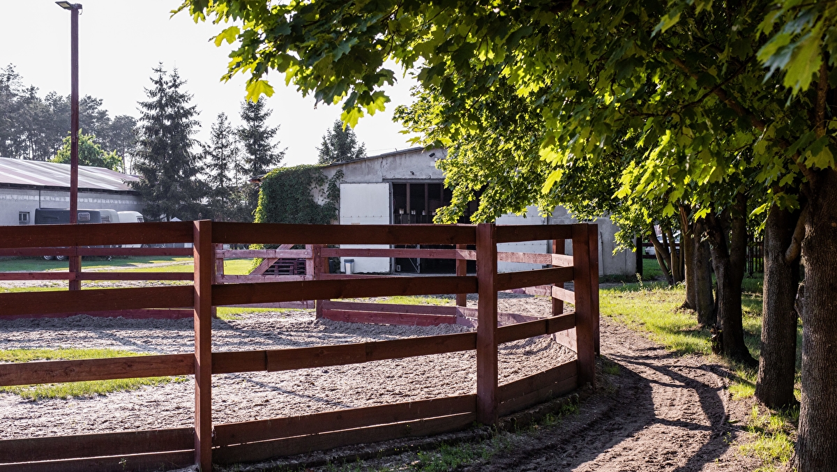 Klub Sportowy Pegaz Chwałowice - zdjęcie 1
