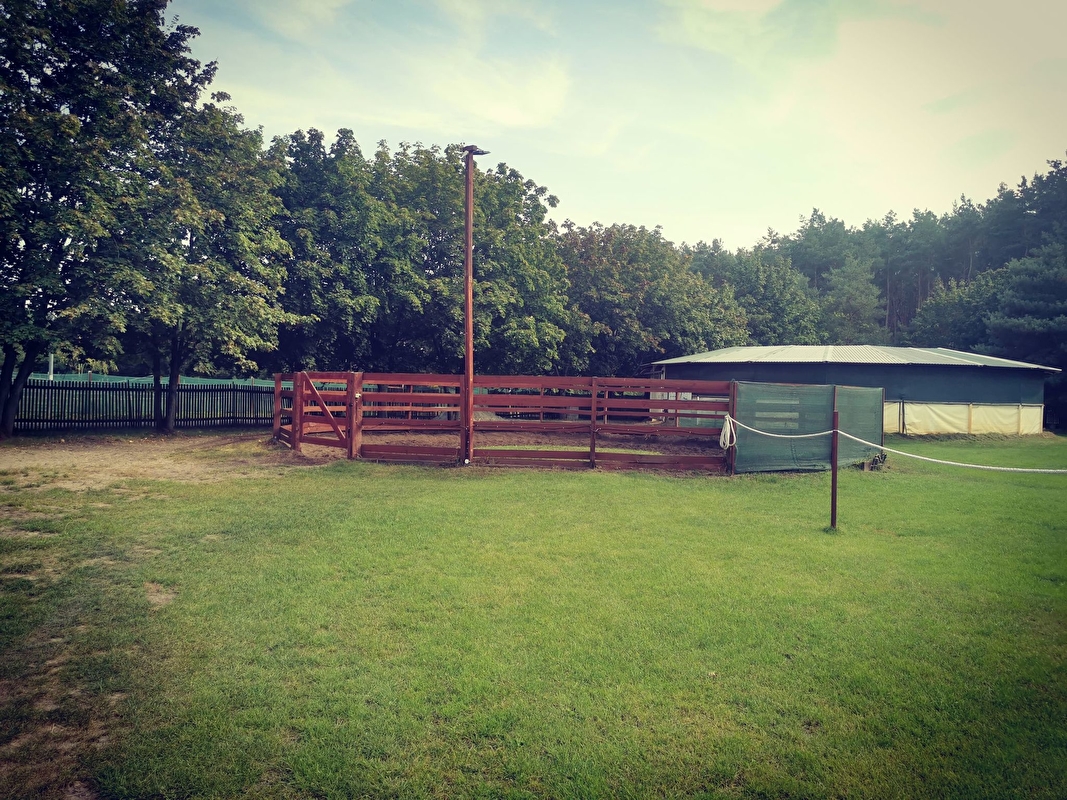 Klub Sportowy Pegaz Chwałowice - zdjęcie 8