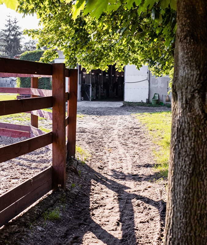 Klub Sportowy Pegaz Chwałowice - zdjęcie 9