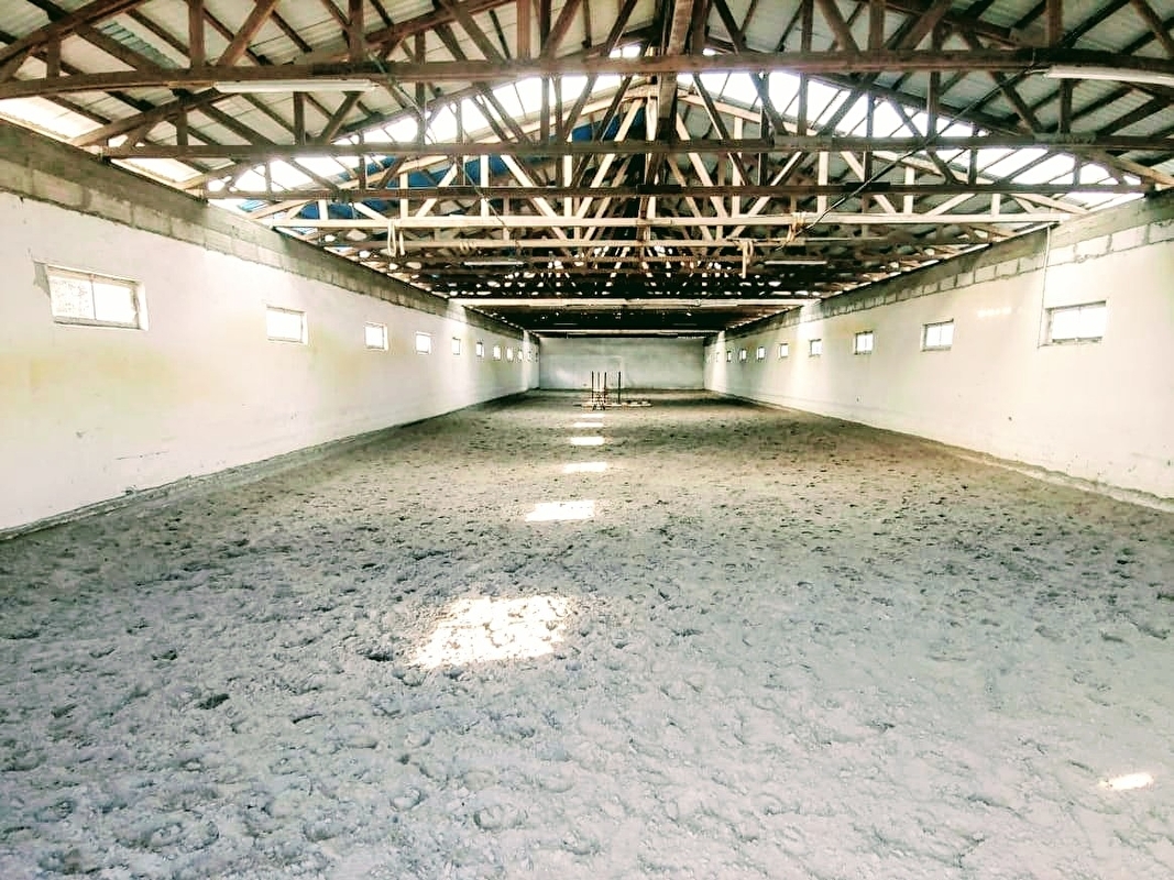 Klub Sportowy Pegaz Chwałowice - zdjęcie 25