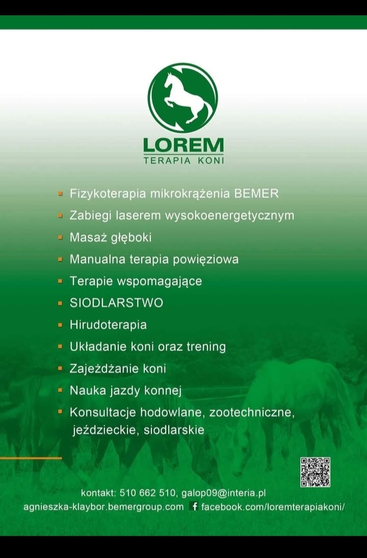 Konie na Wypasie - zdjęcie 9