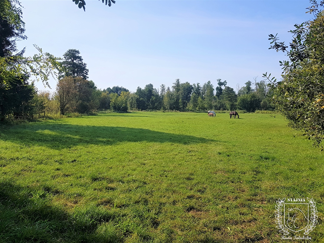 Stajnia Ruda Talubska - zdjęcie 8