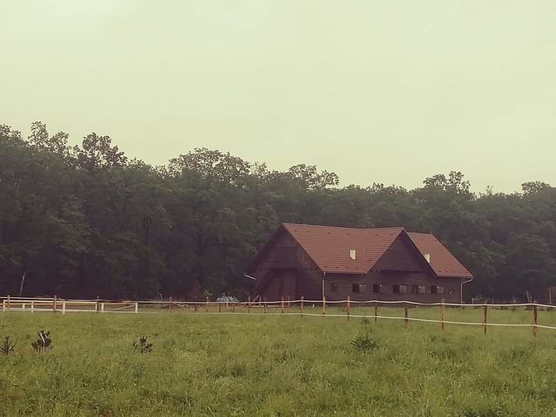 Stajnia Karczów - zdjęcie 2