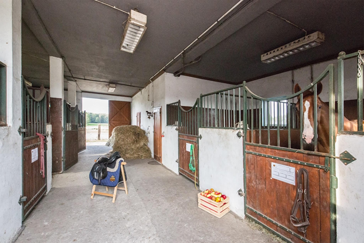 Ośrodek jeździecki Albertville - zdjęcie 3