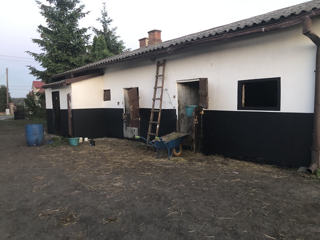 Stajnia Pro Horse - zdjęcie 1