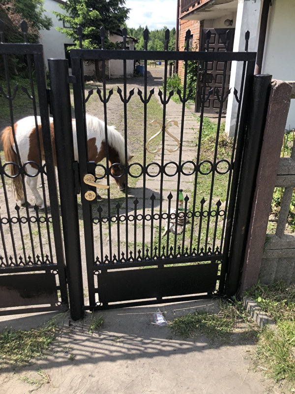 Stajnia Pro Horse - zdjęcie 2