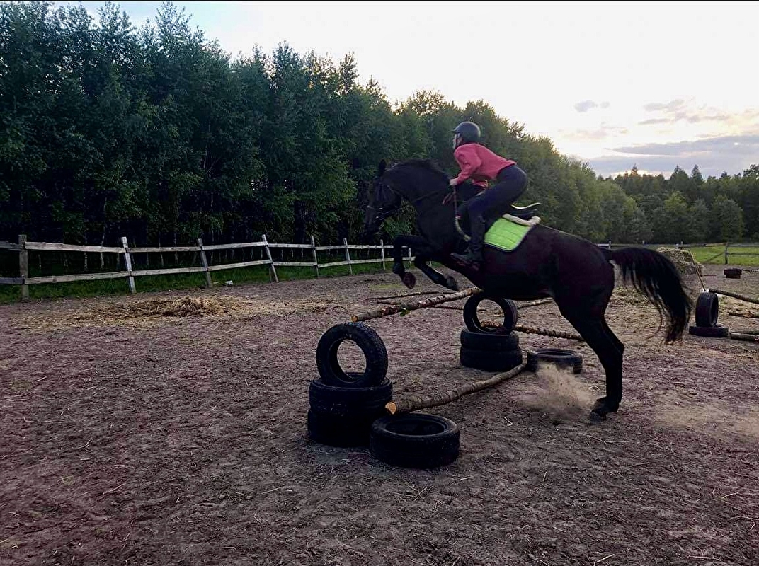 Stajnia Pro Horse - zdjęcie 7
