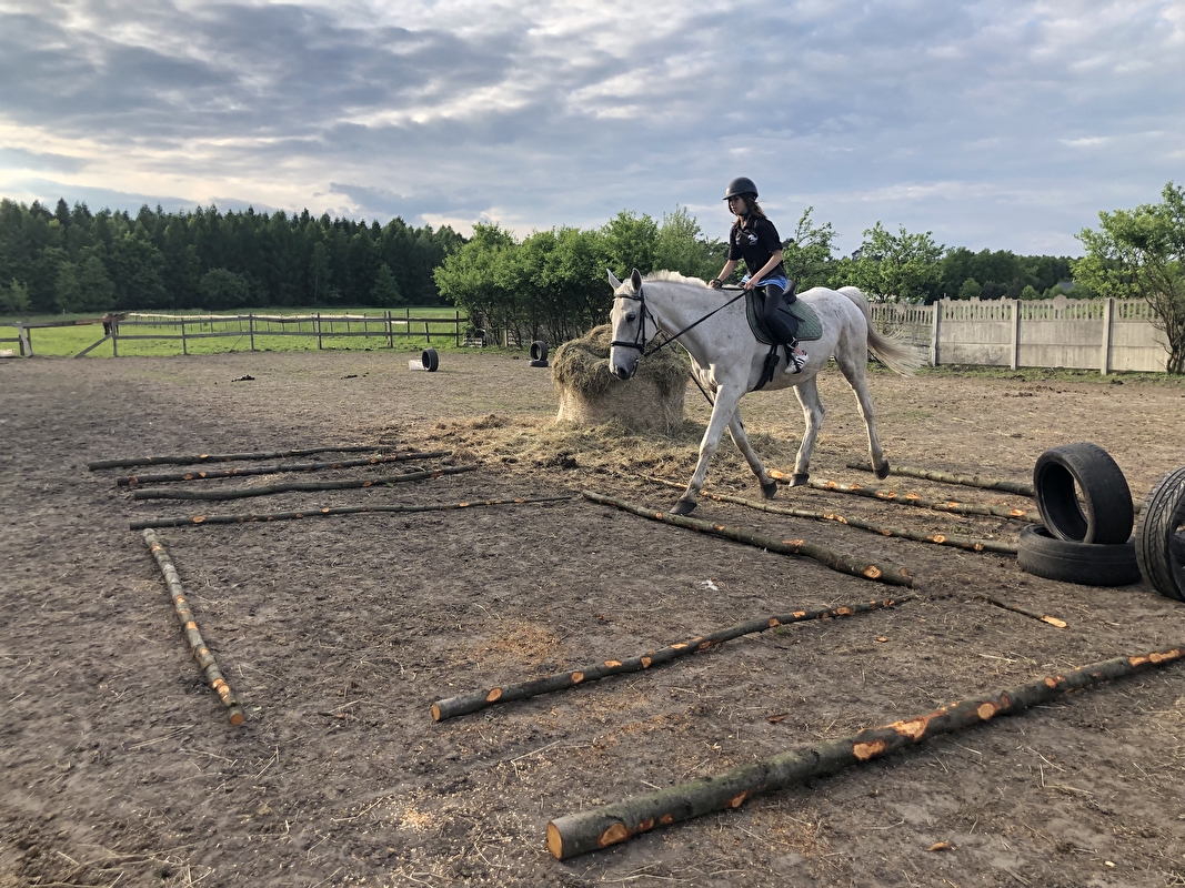 Stajnia Pro Horse - zdjęcie 8