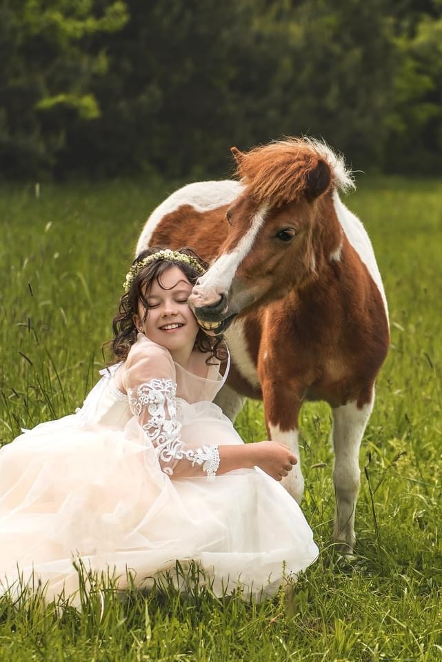 Stajnia Pro Horse - zdjęcie 11