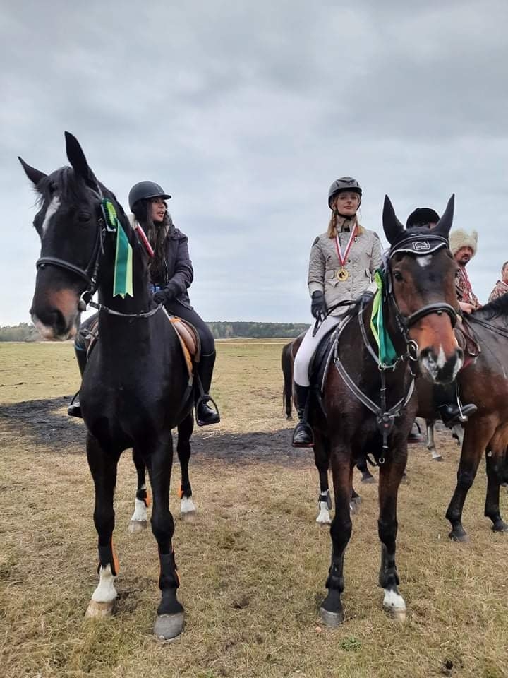 Stajnia Pro Horse - zdjęcie 13
