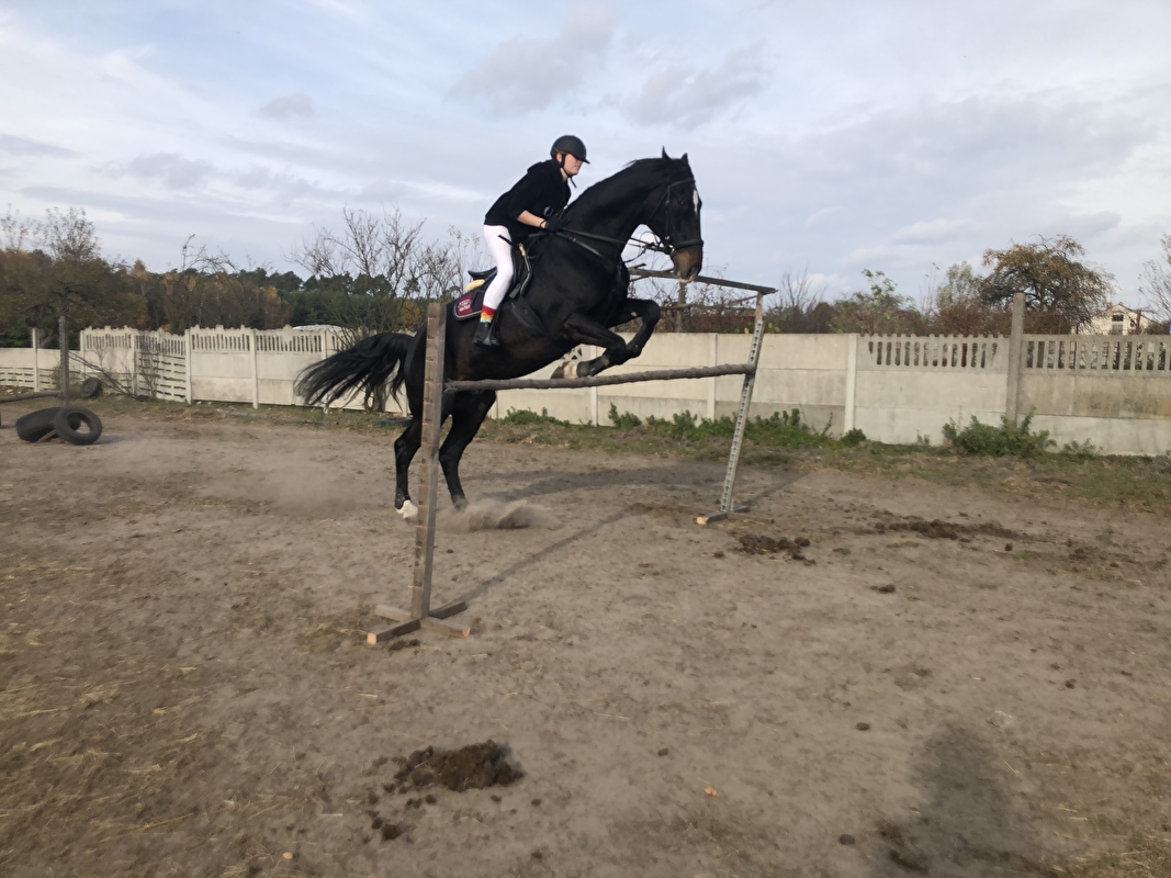 Stajnia Pro Horse - zdjęcie 14