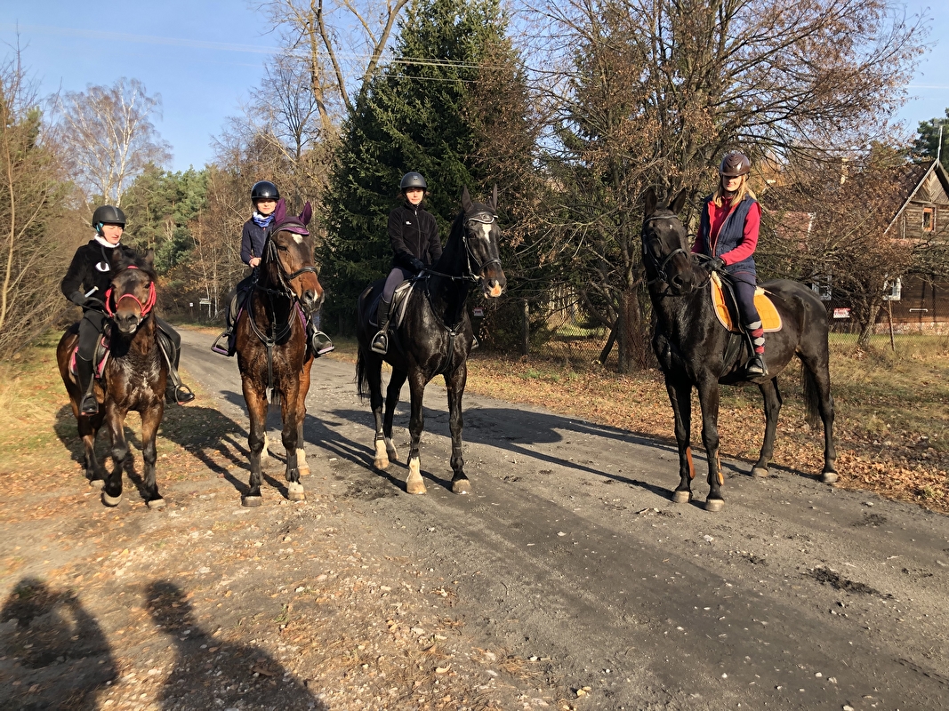 Stajnia Pro Horse - zdjęcie 18