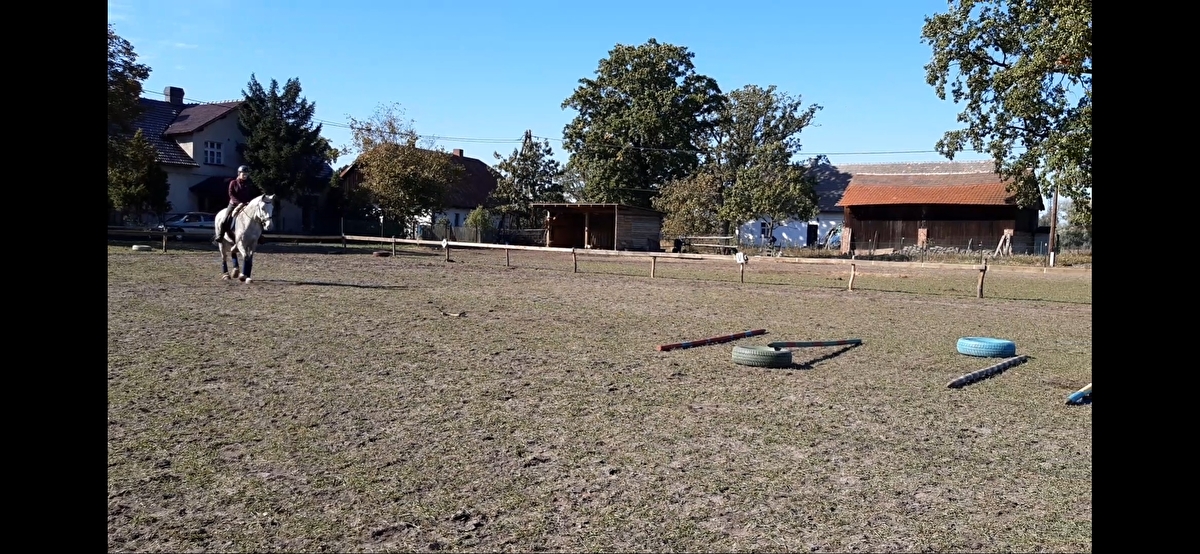 Stajnia KASiDa - zdjęcie 7