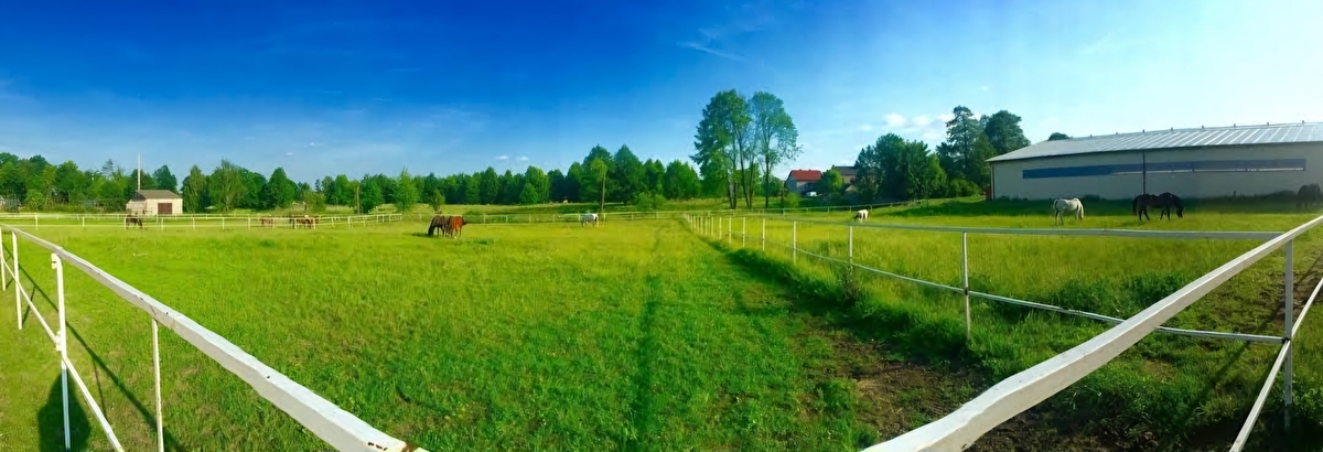 Manor House Dziedzictwo - zdjęcie 9